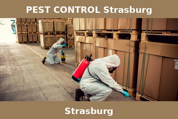 PEST CONTROL Strasburg